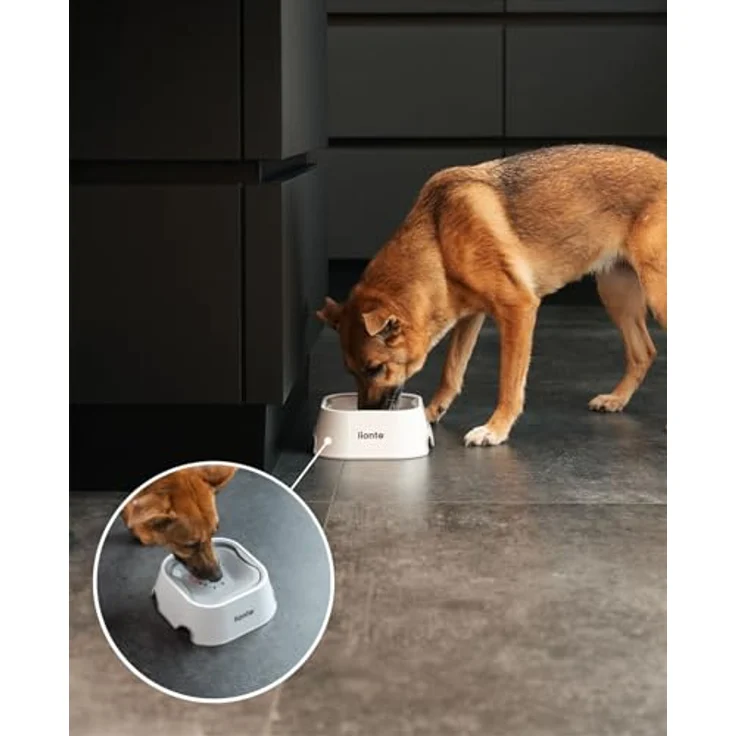lionto Wassernapf für Hunde & Katzen auslaufsicherer Hundenapf Trinknapf für Haustiere Anti Schlabber Napf rutschfest, 1 Liter – Bild 2