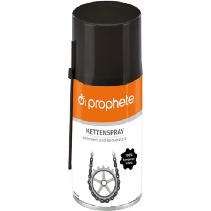 Prophete 5193 Kettenspray 100 ml - schmiert und konserviert