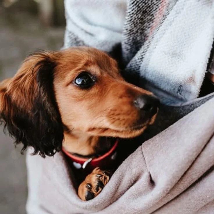 Hunter Tragebeutel Los Angeles taupe-grau 60x30 cm – Bild 3