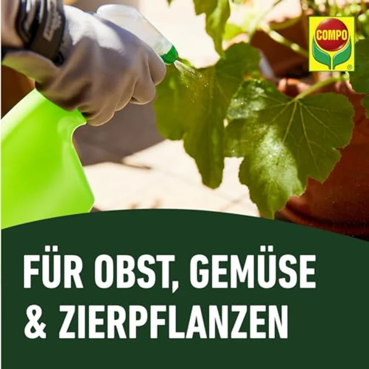 Compo Duaxo Universal Pilz-frei AF, 2.5 L, Anwendungsfertiges Fungizid-Spray gegen Pilzkrankheiten an Zierpflanzen, Gemüse und Kräutern – Bild 6