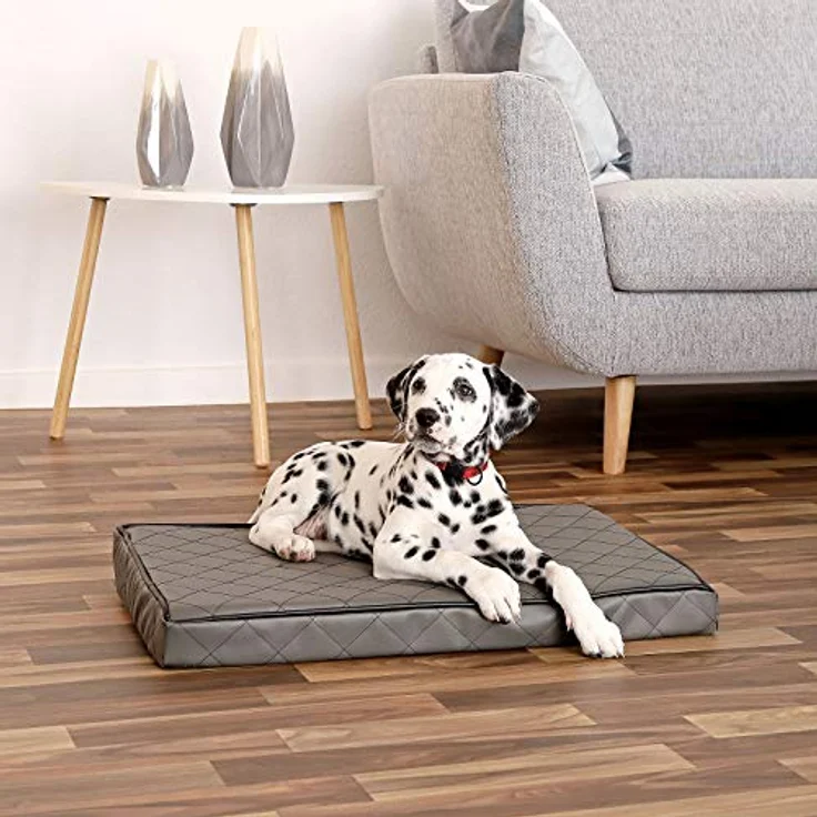 lionto Orthopädische Hundematte Hundebett Kunstleder Hundekissen Memory Schaumstoff, (S) 60x40 cm grau – Bild 2