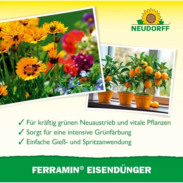 Neudorff Ferramin Eisendünger, Natürlicher Eisendünger für Zitruspflanzen, Zierpflanzen und Rasen, 250 ml für kräftig-grüne Blätter und verbesserte Photosynthese – Bild 4