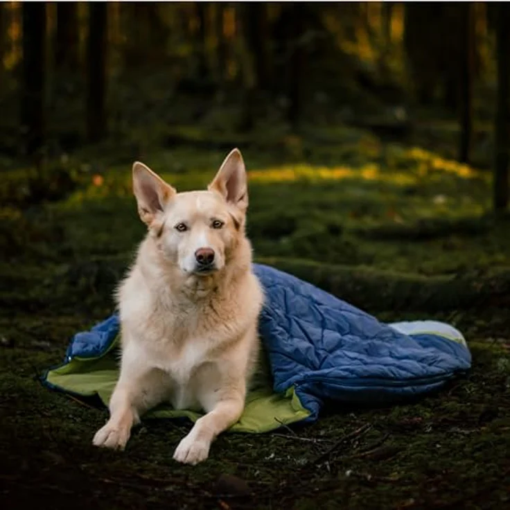 Kurgo Pup Sack, Hundereisebett für draußen, Haustierschlafsack für Camping und Wandern, wasserfest, 76 cm, M – Bild 5