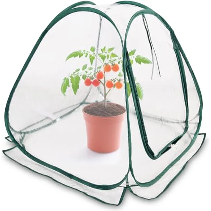 Spetebo Mini Pop-Up Folien Gewächshaus - 60 x 60 cm - Kleines Pilz Gemüse Treibhaus - Folien Frühbeet Pflanzen Schutz Zelt – Bild 1