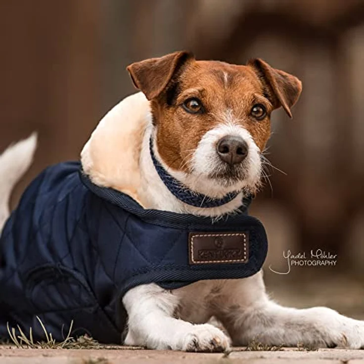Kentucky Hundemantel Marineblau M 44-50cm - 160g Füllung, extra Wärme + Komfort, diamantenförmiges Steppmuster – Bild 2