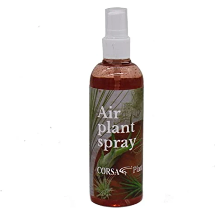 Exotenherz Tillandsien-Dünger, Spezialdünger für Tillandsien und Bromelien, fertig gemischt in Sprayflasche, 80ml – Bild 1