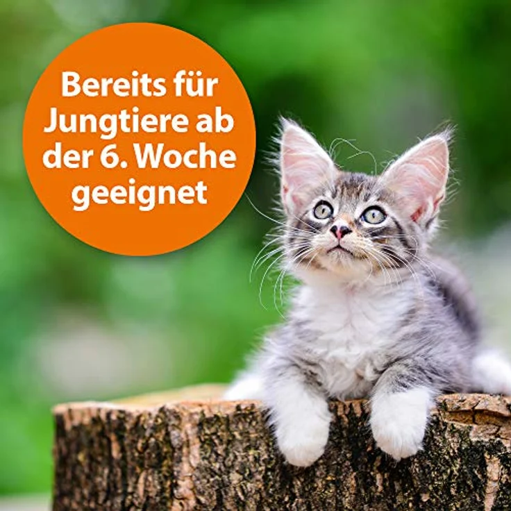 Ardap Zecken- und Flohschutzpuder für Tiere, 150 g - Hochwirksam mit Pyrethrum und Lavendelöl, sofortiger Schutz – Bild 4