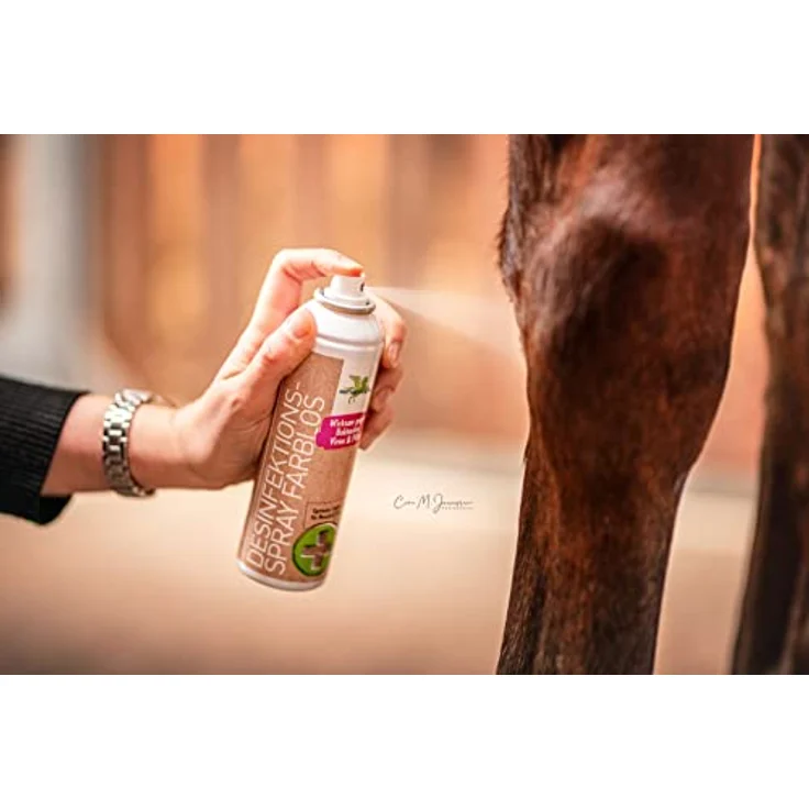 Desinfektionsspray, transparent – Bild 2