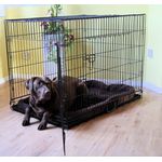 MYPETS Tiertransportbox Hundegitterbox Safe Hundetransportbox Hundebox Transportbox, Faltbare Gitterbox X-Treme - SAFE - Easy Fold System, Schwarz