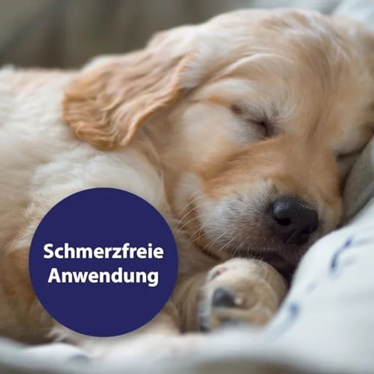 Canosept Wundspray, 75 ml für Hunde, optimale Wundversorgung und schmerzfreie Anwendung – Bild 4