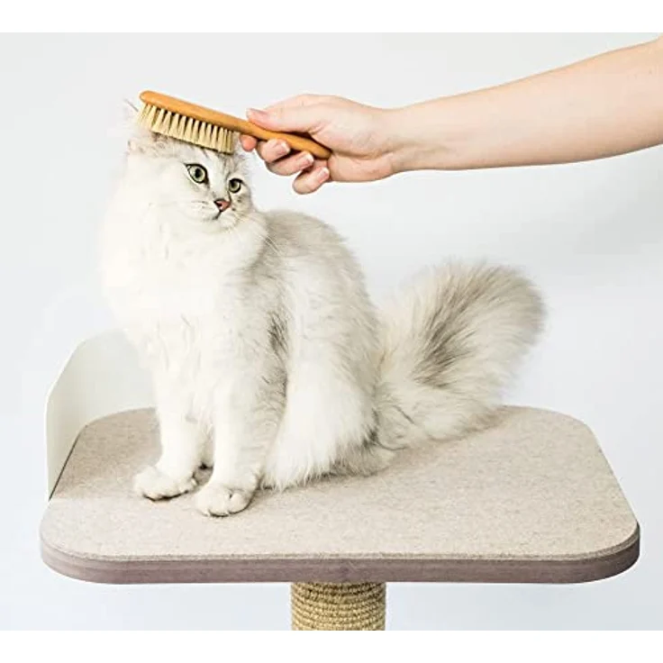 LucyBalu® Katzenbürste für Kurzhaar & Langhaar | Fellbürste für Katzen| Katzenkamm zur Fellpflege von Katzen | Tierhaarbürste für Katzen| Katzenhaarbürste mit Naturborsten & Holzgriff | geölt – Bild 3