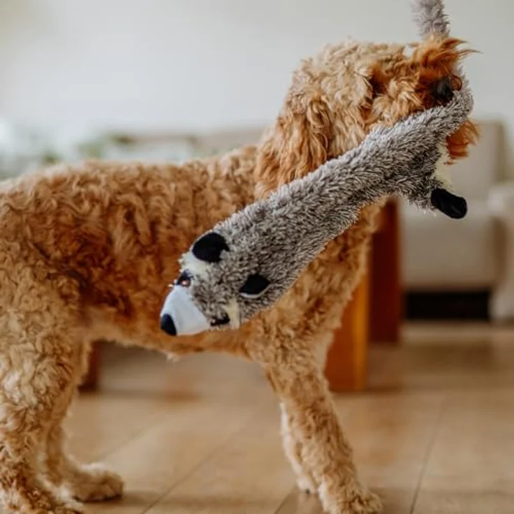 Nobby Plüsch Waschbär Plüsch, 91 cm – Bild 2