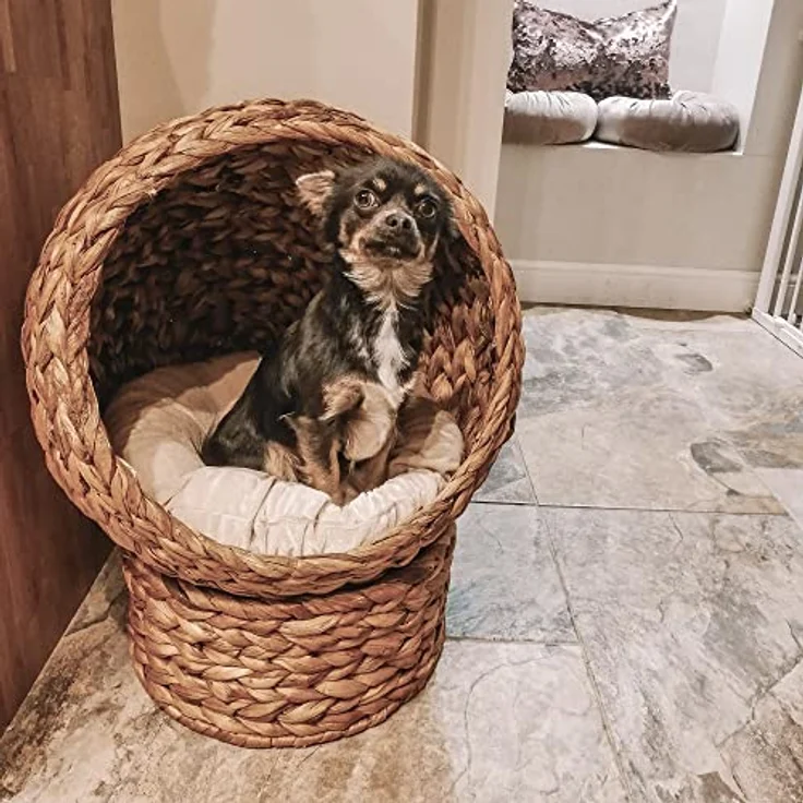 PawHut Rattan Katzenkorb Katzenhöhle Katzenhütte Katzenbett mit Kissen Haustierbett Wasserhyazinthe Hellbraun 50 x 42 x 60 cm – Bild 2