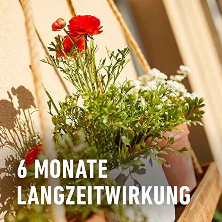 COMPO Balkon- und Kübelpflanzendünger, Langzeit-Dünger mit Sofortwirkung, 1,2 kg – Bild 4