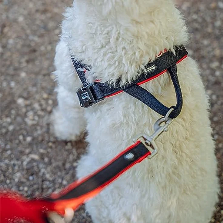 Nobby Norwegergeschirr Mesh Preno, neon gelb L: 60-76 cm + 46 cm, B: 25/35 mm, 1 Stück – Bild 5