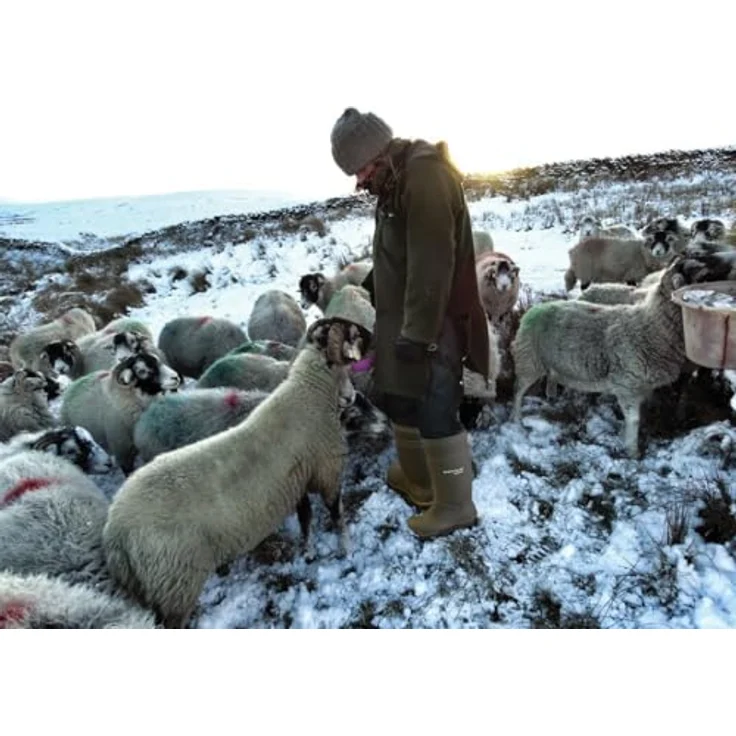 Dunlop Purofort Thermo+ S5 Sicherheitsschuhe, Stahlkappe, -50 °C Wärmedämmung, Größe 45 – Bild 9