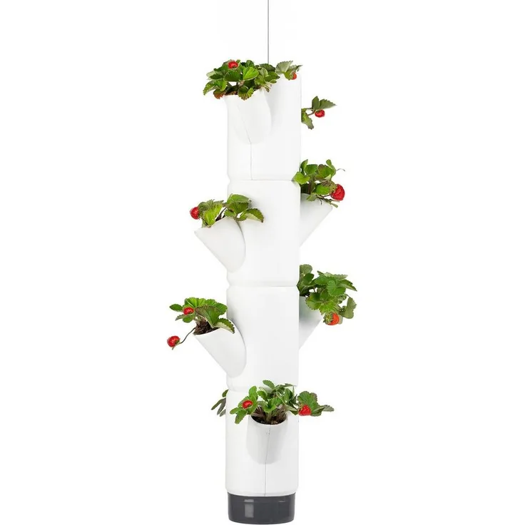 Gusta Garden SISSI STRAWBERRY hanging, Hängender Erdbeerbaum mit 4 Etagen, Wasserauslaufschutz & Wasserleitsystem, weiß