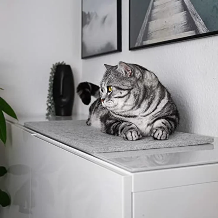 LucyBalu® Fensterbrettauflage für Katzen aus Wollfilz | Liegematte Fensterbank Katze | Katzenkissen | Fensterliegeplatz Katzen | Katzenbett Fensterbank | Fensterliege als Katzenfensterbett | Hellgrau – Bild 5