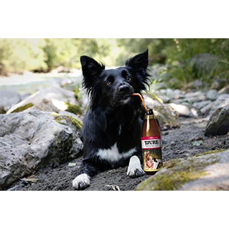 TJURE Dog Hundesmoothie Kennenlernpaket All in One 4 x 320ml - Flüssignahrung für Hunde zuhause und unterwegs - Optimale Flüssigkeitszufuhr für aktive oder trinkfaule Hunde – Bild 2