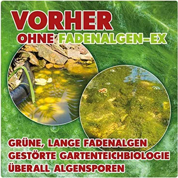 AQUALITY Gartenteich Fadenalgen-EX Flüssig (Flüssiger Fadenalgenvernichter, Algenmittel, Algenentferner. Löst Sich schnell im Teich auf), Inhalt:5 Liter – Bild 3