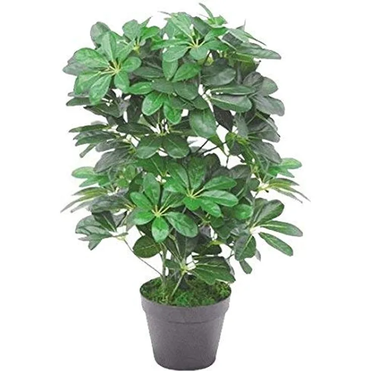 Leaf Künstlicher Schefflera Arboricola Regenschirm, 55 cm, Schwarz, 55 cm dunkler Busch, 55cm Dark Bush