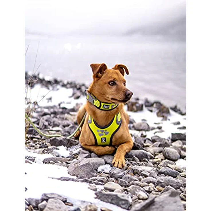 Hurtta Weekend Warrior Hundegeschirr für Grosse Hunde, Neon Gelb 80-100 cm – Bild 3