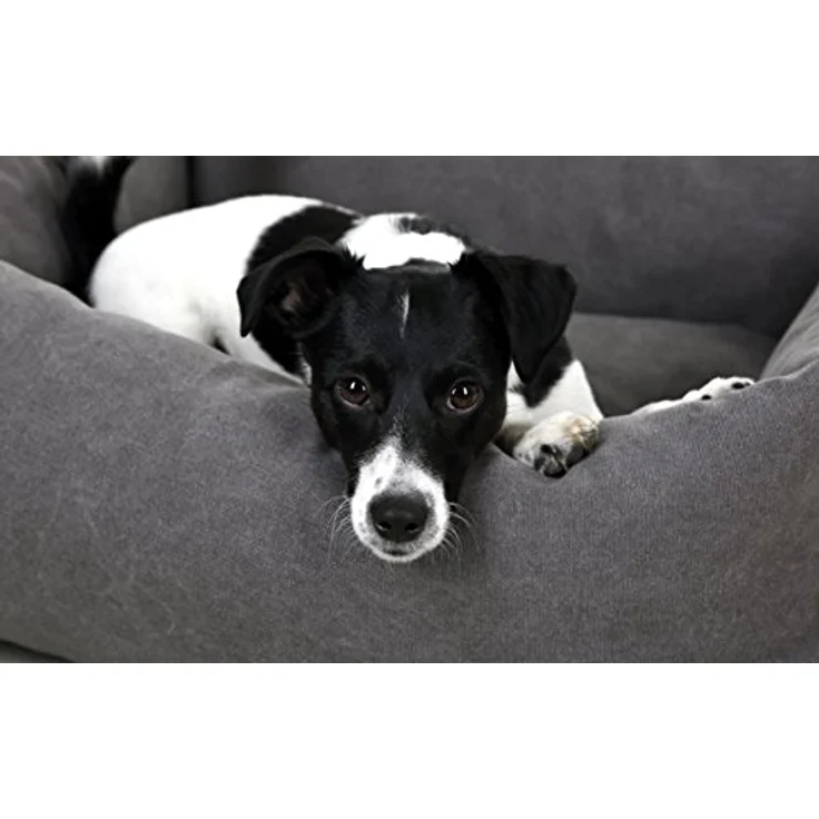 Kerbl 80347 Kuschelbett Lucca, 70 x 85 cm, grau – Bild 3