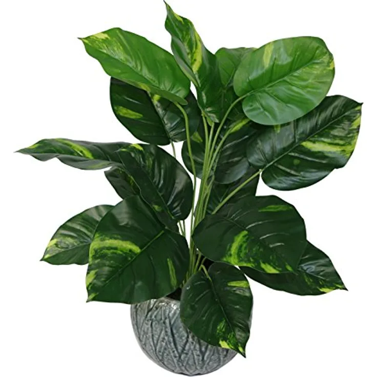 Leaf Design UK Kunstpflanze Teufels-Efeu Scindapsus Aureus, Kunststoff, 60 cm, Schwarz