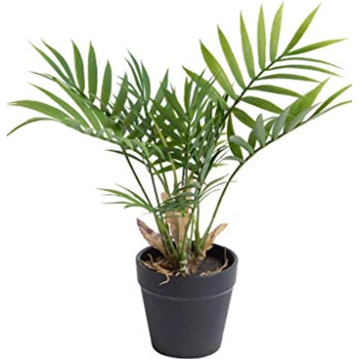 Botanic-Haus Kunstpflanze (Palme, Ficus, Schefflera, Akuba, Croton) Höhe ca. 30 cm im schwarzen Kunststofftopf (Chamaedorea Palme grün)