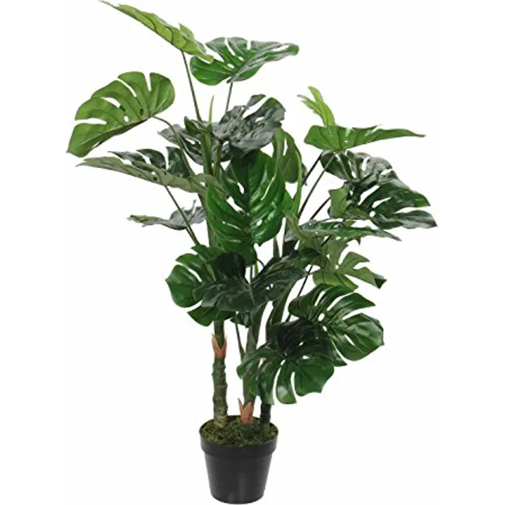Mica Monstera, Gruen, 132