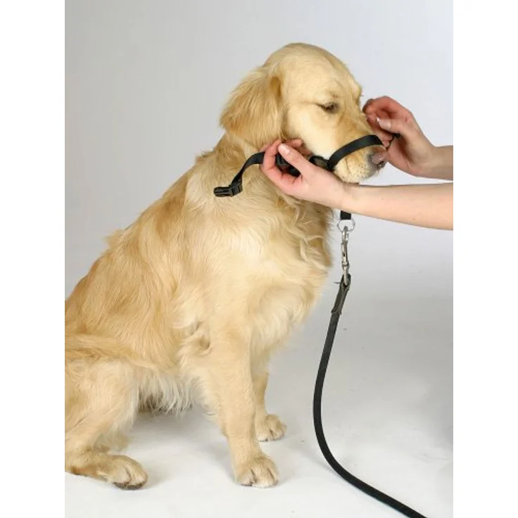 Kerbl MAXI COACH Größe 6, Hundegeschirr für Kurzkopfrassen, schwarz – Bild 2