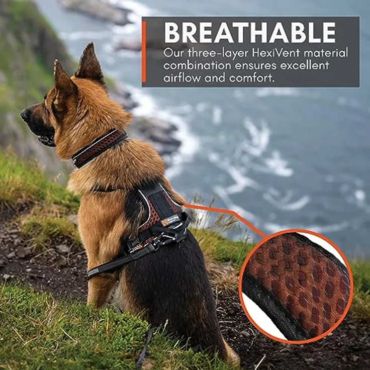 Non-stop dogwear Rock Harness |130| Führ- und Alltagsgeschirr, atmungsaktiv, Größe:L – Bild 5