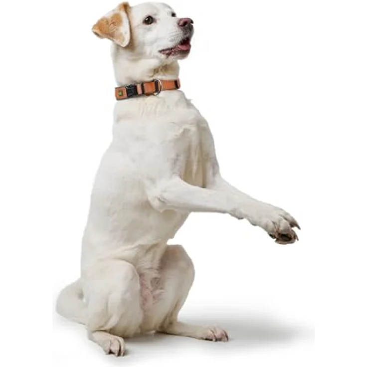 HUNTER Hundehalsung NEOPREN Vario Plus, strapazierfähiges Nylon, weiche Neoprenpolsterung, stufenlos verstellbar, mit Zugentlastung, pflegeleicht, komfortabel, Kupfer/grau, Größe S/1,5 – Bild 2