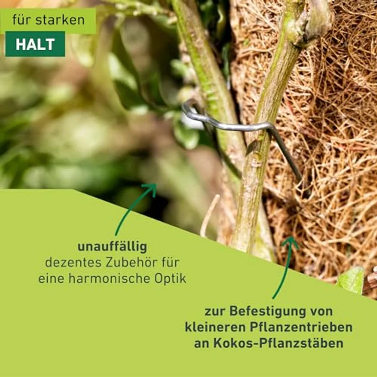 Windhager Pflanzenstecker für die Befestigung von Pflanzentrieben an Kokos-Pflanzstäben, Schwarz, 50 Stück, 06194 metallic – Bild 4