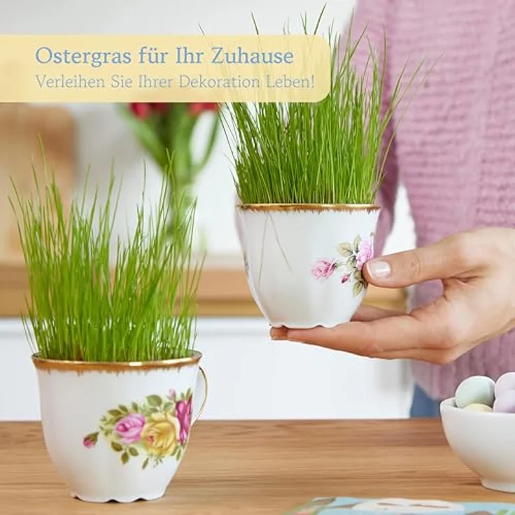 OwnGrown Ostergras Grün Samen, 10g für Dekoration und Katzengras-Anzucht, geeignet für Fensterbank, Balkon, Topf und Schale – Bild 2