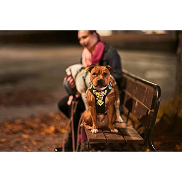 Hurtta Weekend Warrior Neon Hundegeschirr, Brustgeschirr für kleine Hunde, Neon Lakritze, 40-45 cm mit ergonomischem Design und langlebigen Schnellverschlüssen – Bild 2