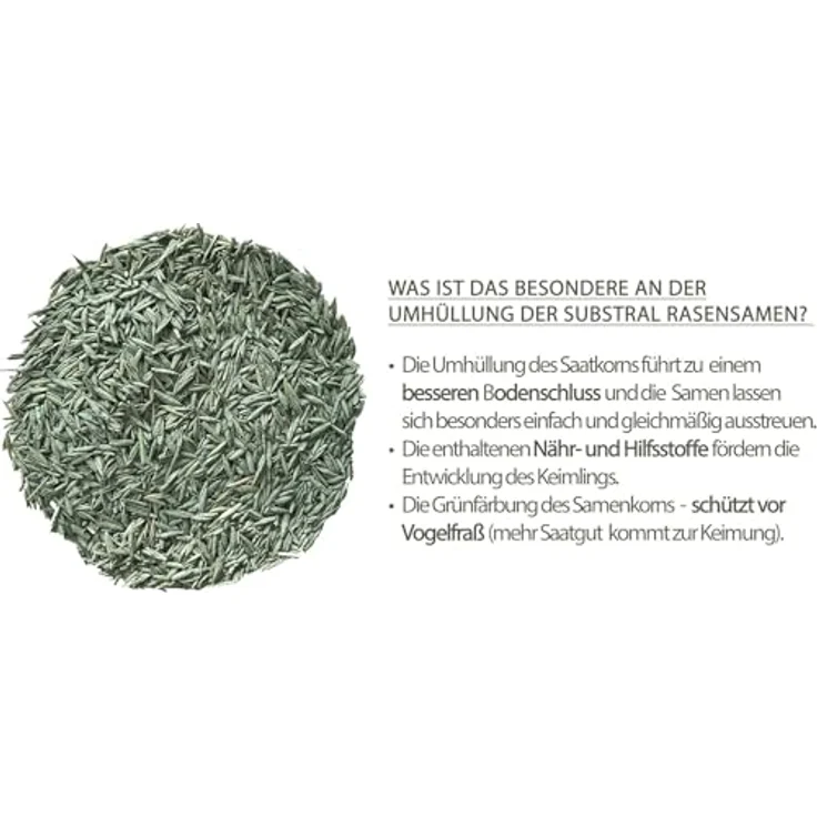 Substral Die Nachsaat 400 g – Bild 4