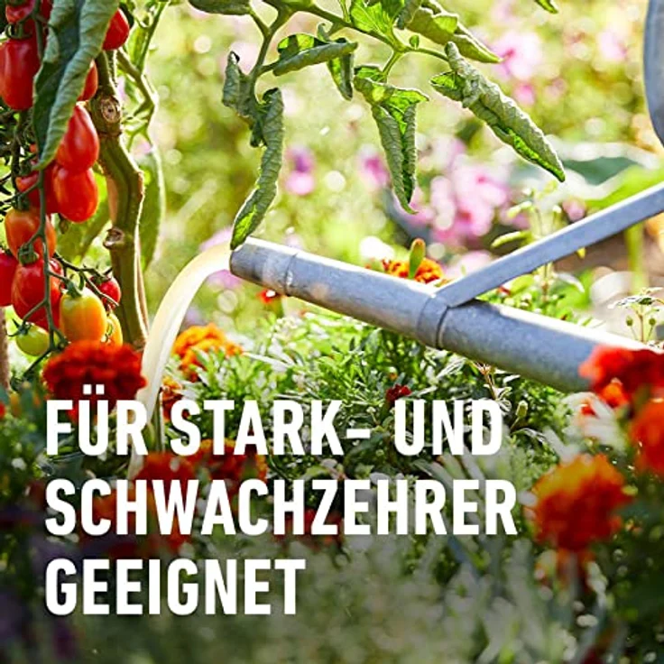 COMPO BIO Hochbeetdünger, Flüssig-Dünger für Obst- und Gemüsepflanzen, 100% natürliche und vegane Inhaltsstoffe, 1 L – Bild 5
