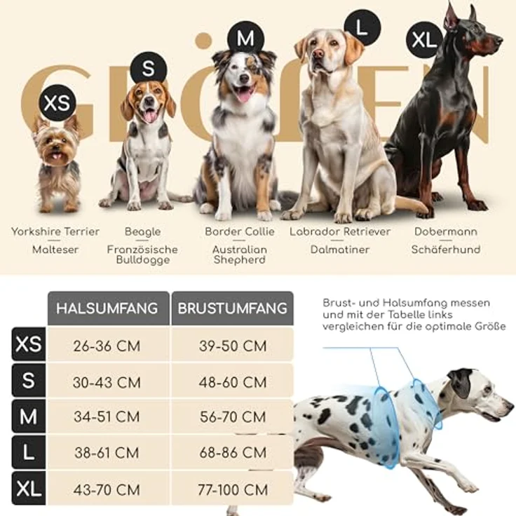 FREUDENTIER® Hundegeschirr mit atmungsaktiver Mesh-Polsterung - Höchster Komfort & bombenfester Sitz - Mit Anti-Zieh-Frontring - Brustgeschirr für große, mittelgroße und kleine Hunde (Black, L) – Bild 2