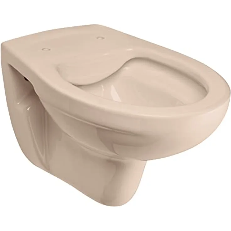 Calmwaters® Spülrandloses Hänge-WC in Beige-Bahamabeige, Wand-WC mit Abgang waagerecht, Tiefspül-WC ohne Spülrand, Tiefspüler wandhängend, Wandtoilette aus Sanitärkeramik in Beige, 08AB6146