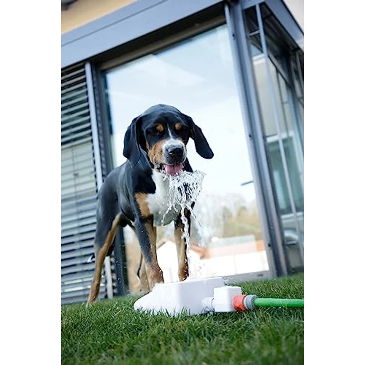KERBL 80542 Wasserspringbrunnen Bubble für Hunde, Spiel- und Trinkbrunnen – Bild 4