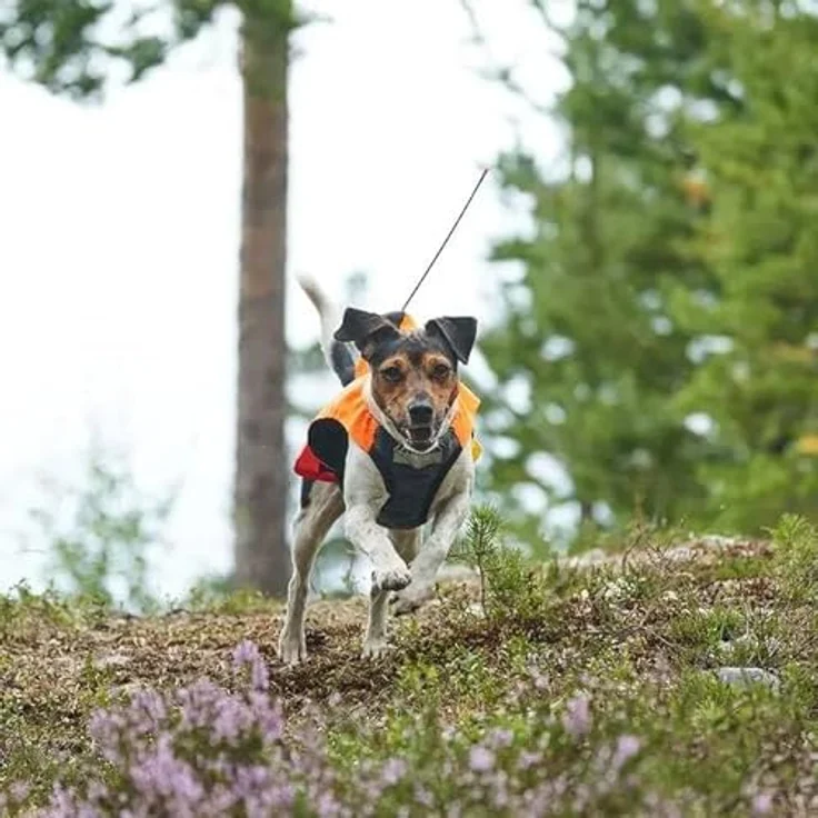 Non-Stop Dogware Protector Vest, Sicherheitsweste für Hunde mit GPS-Tasche und 3M Reflektionsstreifen, Größe M – Bild 4