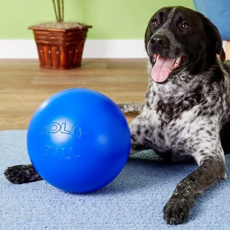 Holland Animal Care Jolly Push-n-Play Ball, unverwüstliches Hundespielzeug aus beissbeständigem Polyethylen, blau – Bild 6