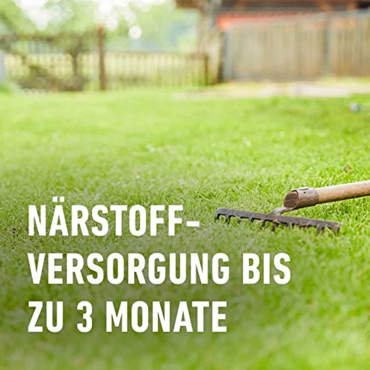 COMPO Rasen-Reparatur-Mix, 1,2 kg für 50 qm – Bild 7