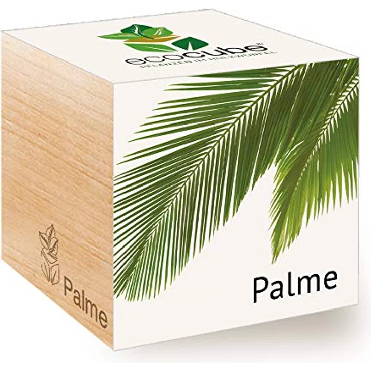 Feel Green Ecocube Palme, Anzuchtset mit Holzwürfel und biologisch abbaubarem Pflanzbecher, Made in Austria – Bild 1