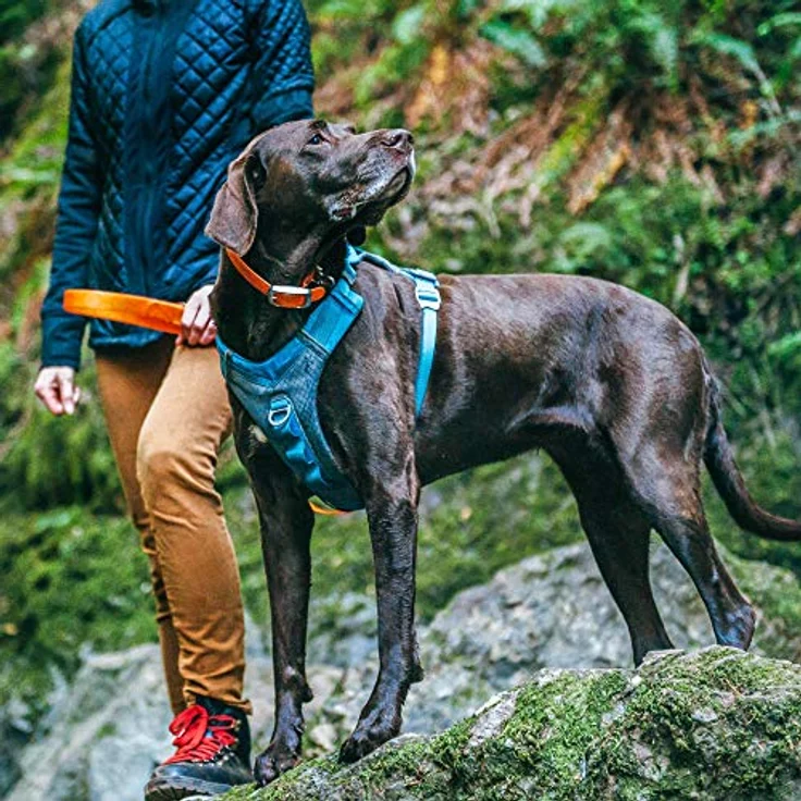 Kurgo Journey Air Geschirr (S, Hund, Spazieren), Halsband + Leine – Bild 5