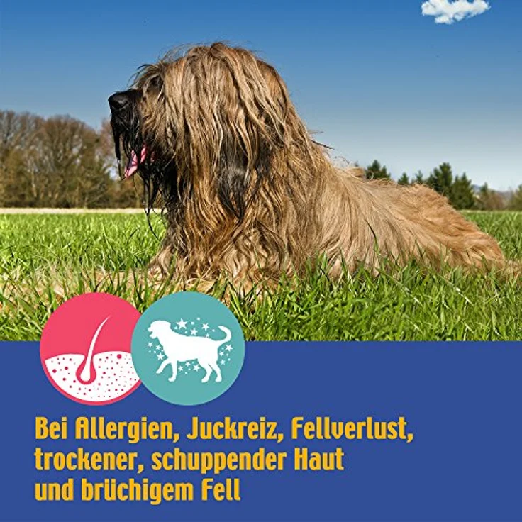 Schecker Ekzemerpflege, Natur-Fellpflege zur Unterstützung der Hautbarriere, 125 g – Bild 4
