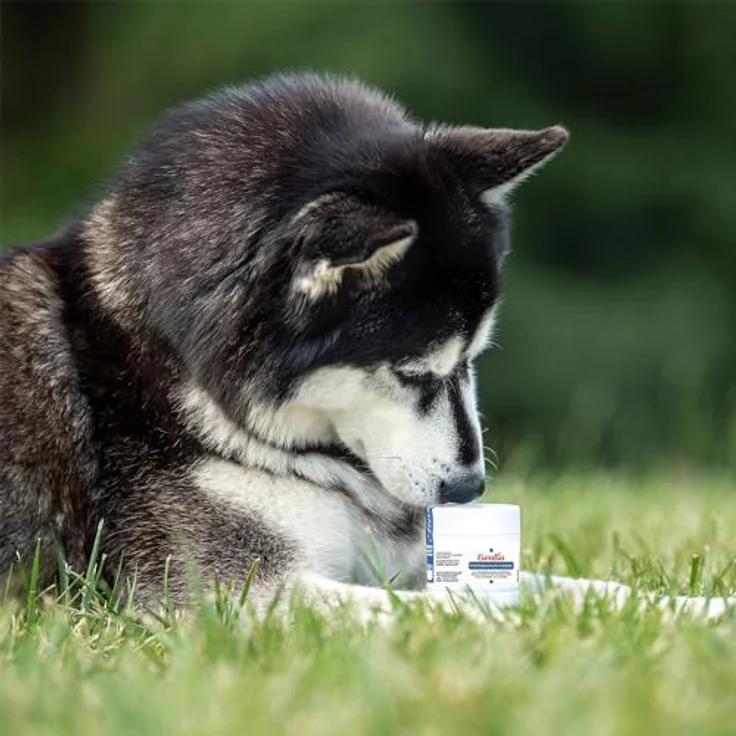 EWALIA Pfotenschutz Creme für Hunde - Natürlicher Schild für empfindliche Pfoten - mit Tierärzten entwickelt, 100% Natur pur, zertifizierte Inhaltsstoffe - 100ml – Bild 3