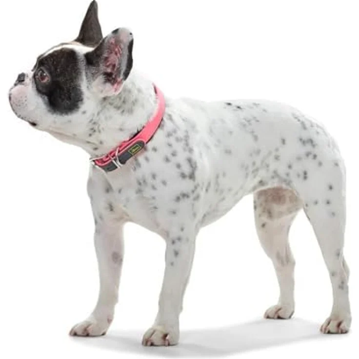 Hunter Hunde-Halsband Convenience Comfort neon-pink L – Bild 4