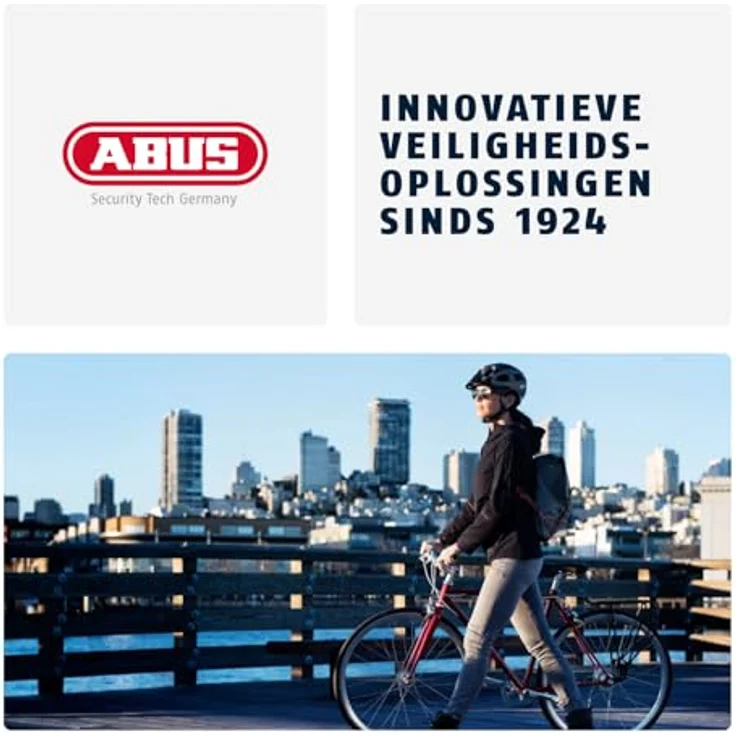 Abus Steel-O-Chain 4804C-75 Kettenschloss Abus – Bild 6
